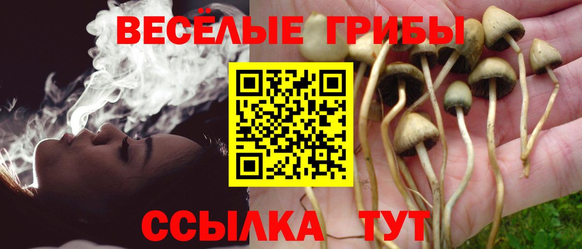 Псилоцибиновые грибы ЛСД Алексин