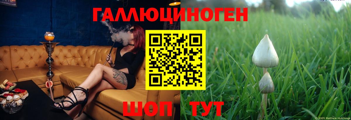 Галлюциногенные грибы мицелий  Псилоцибиновые грибы Psilocybine cubensis  Алексин  Вход с VPN 
